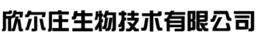 企业通用模版网站
